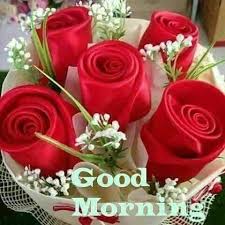 Good Morning Beautiful Soul S Flowers Rose Nature Wishes Happy Positive Motivatio Good Morning Roses Good Morning Flowers Good Morning Flowers Pictures