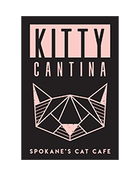 Grab a coffee, beer or wine and come snuggle some homeless. Kitty Cantina Spokane S Cat Cafe