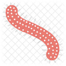 Ebola disease virus in the human body medical concept as three dimensional microbes with blood cells as a health symbol of the dangers of an infection from a deadly microorganism. Free Ebola Virus Flat Icon Available In Svg Png Eps Ai Icon Fonts