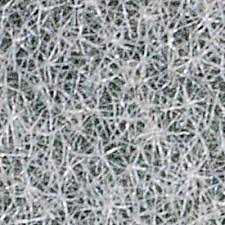 Image result for Erianthemum virescens