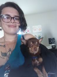 Who do I report a loose dog to? I posted before about how a German Shepard  chased me and my toddler into the house before and has tried to get into the