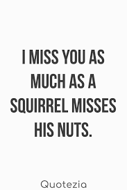 We did not find results for: Top 100 I Miss You And Missing Someone Quotes With Images Quotezia Love Quotes For Him Funny Relationship Quotes Super Funny Quotes