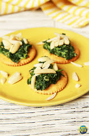 We did not find results for: These Simple Spinach And Almond Topped Ritz Crackers Are A Great Way To Use Leftover Ingredients From Your Thanksgiving Or Christmas Dinner Party Recipe Feiern