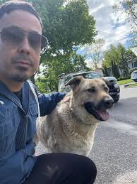Dogs Found at Shore View Park in Simcoe County, Ontario, Canada