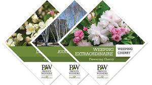 We did not find results for: Proven Winners Colorchoice Now Offering Ornamental Trees Greenhouse Grower