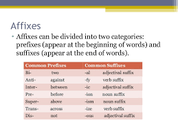 roots and affixes