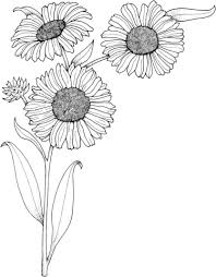 Realistic Sunflowers Coloring Page From Sunflower Category Select From 24848 Printable Crafts Sunflower Coloring Pages Flower Coloring Pages Sunflower Stencil