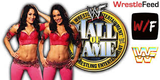 Nikki bella nikki bella is an american professional wrestler, model, businessman, voice actor and real estate broker. Bella Twins Returning To Wwe In 2021 Wwf Old School