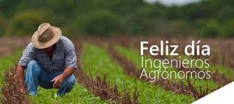 Fue iniciada por el gran ingeniero agrónomo estadounidense norman borlaug con ayuda de organizaciones agrícolas internacionales, quien durante años se dedicó a realizar cruces selectivos de plantas de maíz, arroz y trigo en países en vías de desarrollo, hasta obtener las más productivas. Agriculturers On Twitter Feliz Dia En El Dia Del Ingeniero Agronomo De Chile