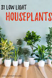 Houseplants can be tricky but this list is fully of easy plants to care for! Incorporating Your Interior Spaces With Houseplants Enhances Your Quality Of Life However Low Light House Plants Indoor Plants Low Light Houseplants Low Light