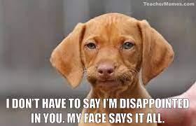 Excuses Funny Animals Bones Funny Funny Pictures