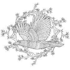 Some of the coloring page names are pin on childrens ministry elijah elisha kings prophets of divided kingdom, elijah and the ravens coloring childrens ministry deals, elijah elijah accept food from ravens coloring elijah accept food from ravens coloring, crows fed elijah coloring crossmap, 11 best elijah and elisha. Flying Raven With High Details Stock Vector Illustration Of Animal Abstract 71462213