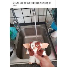 El 2020 Memes Funny Memes Food Animals