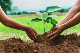 Nature Actions Image