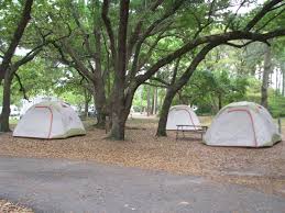 Mar 30, 2021 · #2 the public beach costs money. Dauphin Island Campground