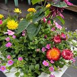 Pots of Possibilities – Get Ready for the Heat