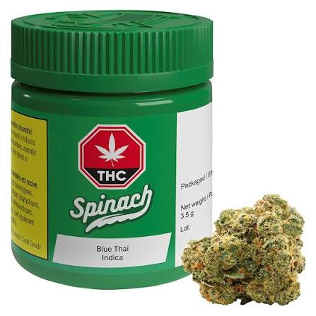 Spinach Blue Thai 3.5g