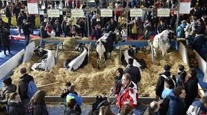 The leading agricultural event the meeting place for all players in agriculture. Salon De L Agriculture 2019 La Campagne A La Ville Cnews