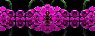 View photos of the 219 condos and apartments listed for sale in north miami beach fl. Amazing Flowers Miami Home Facebook