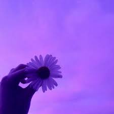 Aesthetic wallpapers purple aesthetic picture collage wall purple wallpaper purple vibe purple walls purple wallpaper iphone aesthetic colors dark purple aesthetic. Aesthetic 300x300 Photos Largest Wallpaper Portal
