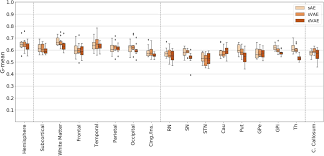 100% safe and secure ✔ free microsoft word free for windows is available both in the standalone and bundled form inside ms office. Subtle Anomaly Detection In Mri Brain Scans Application To Biomarkers Extraction In Patients With De Novo Parkinson S Disease Medrxiv