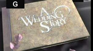 Dave Grace On Tlc S A Wedding Story 2003 Cropped Wedding Story Tlc Wedding