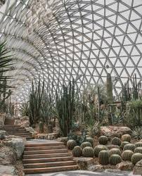 Shanghai Botanical Garden Photographed By Ksenmarkova Botanical Greenhouse Cactus Houseplants Plants Shangh Garden Architecture Plants Landscape Design