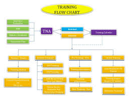 Training Process Flow Chart Sops