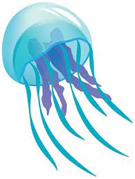 Best Jellyfish Clipart 9686 Clipartion Com Clip Art Jellyfish Environmental Art