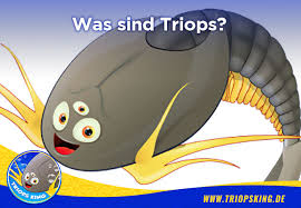 Ob und wann dieser artikel wieder vorrätig sein wird, ist unbekannt. Was Sind Eigentlich Triops Wissenswertes Fur Aquarianer