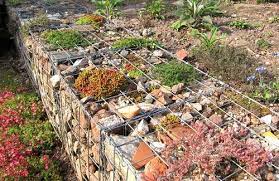 Gabions Now Garden Paving Garden Pavers Plants