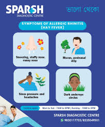 Image result for Allergic Rhinitis