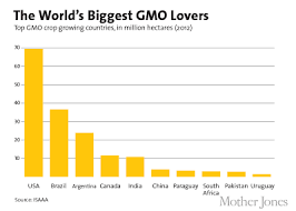 Benefits Of Gmo Apples Gmo Infused Apples