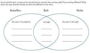 Compare Contrast Comprehend Using Compare Contrast Text