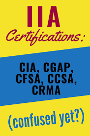 Auditor Certifications In 2020 Accounting Student Accounting Career Cpa Exam