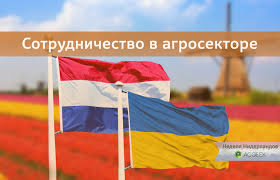 Нидерланды украина голы футбол чемпионат европы обзоры матчей. Partnerstvo Niderlandov I Ukrainy V Apk