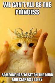Funny Animal Pictures Of The Day 22 Pics Funny Cat Memes Funny Animal Pictures Cat Memes
