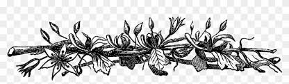 Choose from 130+ black and white border graphic resources and download in the form of png, eps, ai or psd. Rustic Png Border Black And White Flower Transparent Clipart 1525604 Pikpng