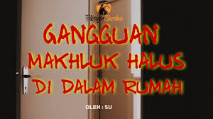 Mengisahkan tentang amir dan anna, pasangan suami dan isteri berdepan dengan cabaran getir kerana ibu tiri amir, datin maria telah mengalami 'gangguan makhluk halus'. Gangguan Makhluk Halus Di Dalam Rumah Fiksyen Shasha