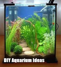 Top 10 Diy Aquarium Ideas For Your Next Aquarium Project Top Cool Diy Betta Fish Tank Betta Aquarium Tropical Fish Tanks