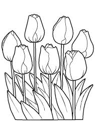 Kleurplaat Bloemen 5596 Kleurplaten Bloemen Kleurplaten Bloem Kleurplaten Bloemen Tekenen