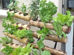 Bamboo Vertical Gardens Vertical Garden Plants Vertical Garden Diy Vertical Vegetable Gardens