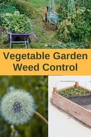 It will not control existing weeds but can be used before planting to prevent new ones from emerging. Vegetable Garden Weed Control