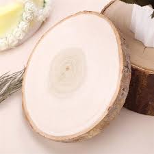 We did not find results for: Wooden Slab Centerpiece Rustic Round Slice Table Decoration