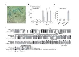 The composition of the plant cell wall differentiates it from the cell walls of other. Snare Protein Mediated Disease Resistance At The Plant Cell Wall Nature