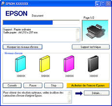 Pilote imprimante epson stylus dx4450. Checking The Ink Cartridge Status