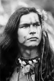 Apache indian agent and scouts history
