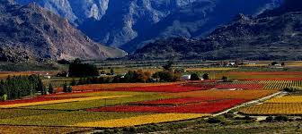 Paarl Wine Region | Wine region, Natural landmarks, Landmarks