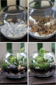 Saifou Image Saifou Garden Terrarium Fairy Garden Mini Garden