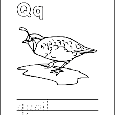 Q for quadrilateral coloring page with handwriting practice. Letter Q Coloring Book Free Printable Pages